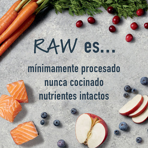 Instinct Raw Boost Alimento Natural para Perro Todas las Etapas de Vida Receta Salmón y Arroz, 9.07 kg