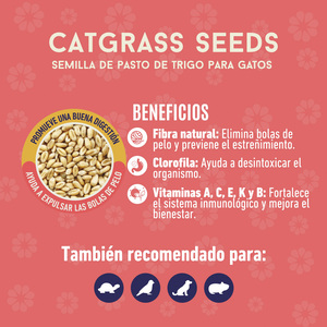 Un Dos Treats Catgrass Seeds Semillas de Pasto de Trigo para Gato, 150 g