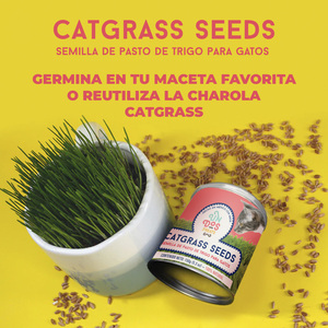 Un Dos Treats Catgrass Seeds Semillas de Pasto de Trigo para Gato, 150 g