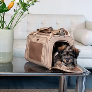 Reddy Transportadora Deluxe de Tela para Perro o Gato Reddy Transportadora Deluxe de Tela para Perro o Gato