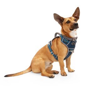 Reddy Arnés Híbrido Resistente Ajuste Romano Color Azul para Perro, Mediano