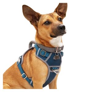 Reddy Arnés Híbrido Resistente Ajuste Romano Color Azul para Perro, Mediano