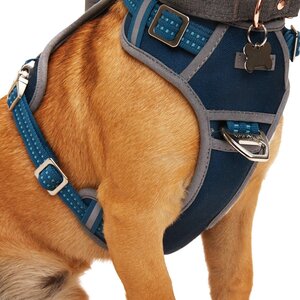Reddy Arnés Híbrido Resistente Ajuste Romano Color Azul para Perro, Mediano
