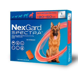 NexGard Spectra Antiplagas Desparasitante Masticable Externo e Interno para Perro, X-Grande NexGard Spectra Antiplagas Desparasitante Masticable Externo e Interno para Perro, X-Grande