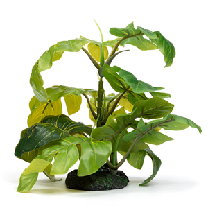 Imagitarium Decoración Planta Arácea para Terrario