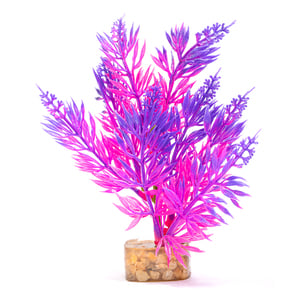 Glofish Decoración Planta Purpura-Rosa para Peces, Mediano, Chica Glofish Decoración Planta Purpura-Rosa para Peces, Mediano, Chica