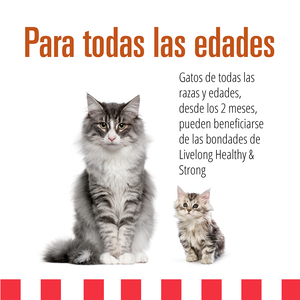 Livelong Healthy & Strong Alimento Natural Húmedo para Gato Todas las Edades Receta Delicias de Aves, 354 g