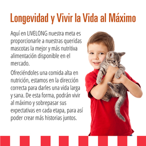 Livelong Healthy & Strong Alimento Natural Húmedo para Gato Todas las Edades Receta Delicias de Aves, 354 g