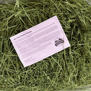 Oxbow Heno Timothy para Pequeños Herbívoros, 4 kg