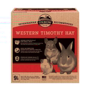 Oxbow Heno Timothy para Pequeños Herbívoros, 4 kg Oxbow Heno Timothy para Pequeños Herbívoros, 4 kg
