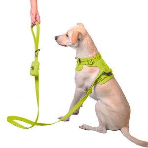 Petspaces Collar Ajustable a Prueba de Agua y Olores Color Verde para Perro, Chico