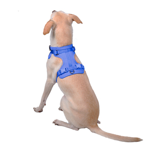 Petspaces Arnés Monocromático Ajuste Romano Color Azul para Perro, Grande
