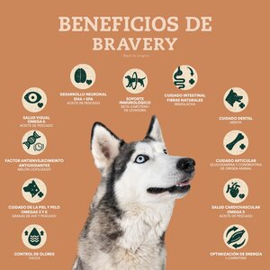 Bravery Alimento Seco Natural Libre de Granos para Cachorro Raza Pequeña Receta Pollo, 7 kg