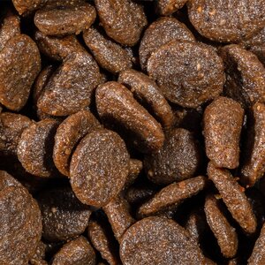 Bravery Alimento Seco Natural Libre de Granos para Perro Adulto Raza Mediana/Grande Receta Salmón, 12 kg