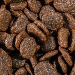 Bravery Alimento Natural Libre de Granos para Perro Adulto Raza Pequeña Receta Arenque, 7 kg