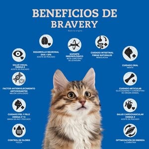 Bravery Alimento Seco Natural Libre de Granos para Gato Adulto Receta Salmón, 2 kg Bravery Alimento Seco Natural Libre de Granos para Gato Adulto Receta Salmón, 2 kg