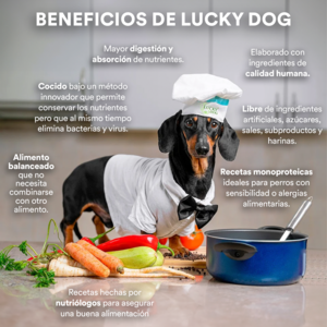 Lucky Dog Alimento Natural Cocido y Congelado Receta  Pescado para Perro Adulto, 1 kg