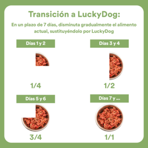Lucky Dog Alimento Natural Cocido y Congelado Receta  Pollo para Perro Adulto, 1 kg
