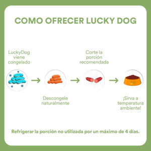 Lucky Dog Alimento Natural Cocido y Congelado Receta  Res para Perro Adulto, 1 kg