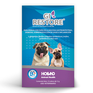 Holland GI Restore Complemento para Salud Gastrointestinal para Perro, 1 Caja