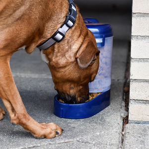 Bergan Llc Travel Feeder Dos en Uno Comedero y Contenedor de Viaje para Perro, 2.3 kg