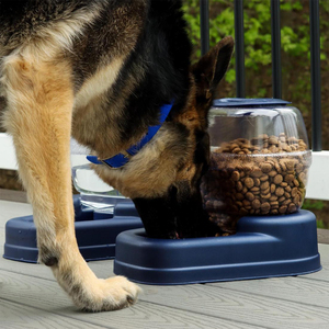 Bergan Llc Petite Gourmet Bebedero Azul de Gravedad para Perro y Gato, 5.6 L