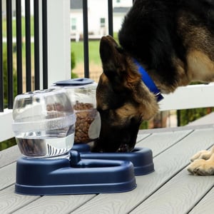 Bergan Llc Petite Gourmet Bebedero Azul de Gravedad para Perro y Gato, 5.6 L