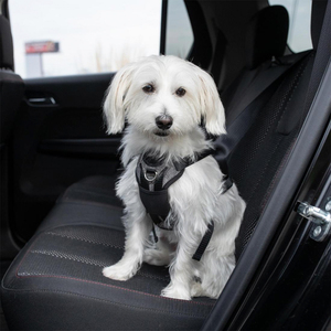 Bergan Llc Arnés Gris Especial para Viaje en Vehículo para Perro, Chico