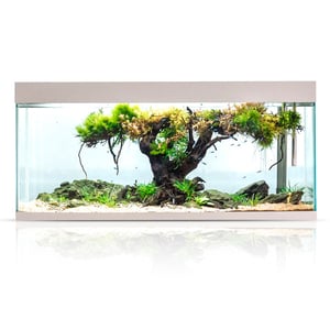 Aquael Acuario sin Mueble Optiset 240 Blanco para Peces