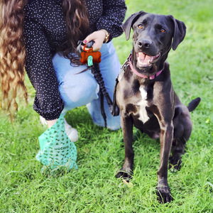 Wecare Bolsas Biodegradables y Compostables para Desechos de Perro, 60 Bolsas