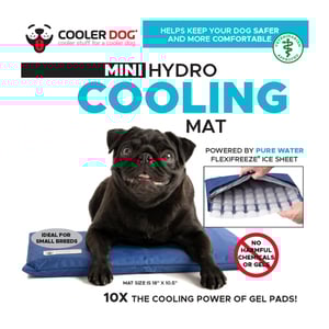 CoolerDog Tapete Ultrarrefrescante para Perro, Chico CoolerDog Tapete Ultrarrefrescante para Perro, Chico