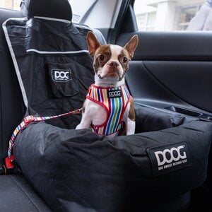 Doog Colección Scooby Adaptador para Cinturón de Seguridad para Perro, Unitalla Doog Colección Scooby Adaptador para Cinturón de Seguridad para Perro, Unitalla