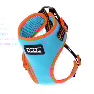 Doog Neon Colección Beethoven Arnés de Neoflex con Ajuste Romano para Perro, Mediano Doog Neon Colección Beethoven Arnés de Neoflex con Ajuste Romano para Perro, Mediano