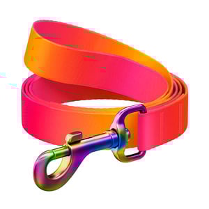 Waudog Nylon Recycled Correa Diseño Degradado Naranja para Perros Raza Mediana, 1.22 m Waudog Nylon Recycled Correa Diseño Degradado Naranja para Perros Raza Mediana, 1.22 m