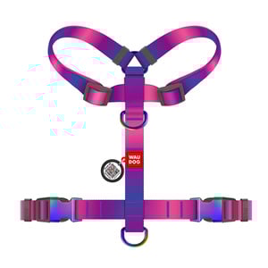 Waudog Nylon Recycled Arnés de Ajuste Romano Diseño Degradado Morado para Perro, Mediano Waudog Nylon Recycled Arnés de Ajuste Romano Diseño Degradado Morado para Perro, Mediano