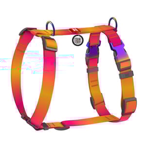 Waudog Nylon Recycled Arnés de Ajuste Romano Diseño Degradado Naranja para Perro, Chico Waudog Nylon Recycled Arnés de Ajuste Romano Diseño Degradado Naranja para Perro, Chico