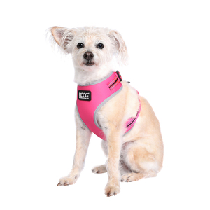Doog Neon Colección Lady Arnés de Neoflex con Ajuste Romano para Perro, Mediano Doog Neon Colección Lady Arnés de Neoflex con Ajuste Romano para Perro, Mediano