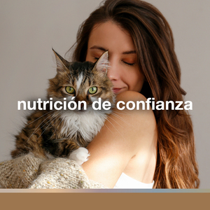 FullTrust Alimento Seco para Gato Senior, 3 kg