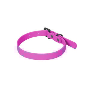 Petspaces Monocromático Collar a Prueba de Agua y Olores Color Magenta para Perro, Mediano Petspaces Monocromático Collar a Prueba de Agua y Olores Color Magenta para Perro, Mediano