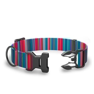 Wingo Outdoors Coosa Collar con Broche Duraflex Diseño Rayas BiColor para Perro, Mediano Wingo Outdoors Coosa Collar con Broche Duraflex Diseño Rayas BiColor para Perro, Mediano