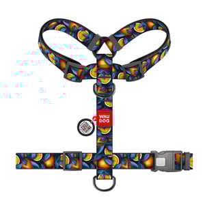 Waudog Nylon Arnés Ajuste Romano Diseño de Naranjas para Perro, Chico Waudog Nylon Arnés Ajuste Romano Diseño de Naranjas para Perro, Chico
