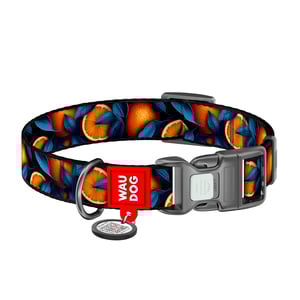 Waudog Nylon Collar Diseño de Naranjas con Broche y Placa Tipo QR para Perro, Mediano Waudog Nylon Collar Diseño de Naranjas con Broche y Placa Tipo QR para Perro, Mediano