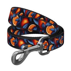 Waudog Nylon Correa Diseño de Naranjas para Perro Raza Mediana, 1.22 m Waudog Nylon Correa Diseño de Naranjas para Perro Raza Mediana, 1.22 m