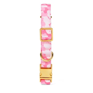 Petspaces Collar con Broche de Metal Patrón Camuflaje Rosa para Perro, Mediano Petspaces Collar con Broche de Metal Patrón Camuflaje Rosa para Perro, Mediano