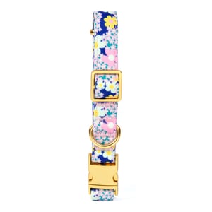 Petspaces Collar con Broche de Metal Patrón Flores para Perro, Mediano Petspaces Collar con Broche de Metal Patrón Flores para Perro, Mediano
