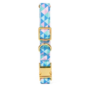Petspaces Collar con Broche de Metal Patrón Prisma para Perro, Grande Petspaces Collar con Broche de Metal Patrón Prisma para Perro, Grande