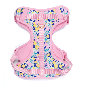 Petspaces Arnés Híbrido de Ajuste Romano Patrón Flores para Perro, Mediano Petspaces Arnés Híbrido de Ajuste Romano Patrón Flores para Perro, Mediano
