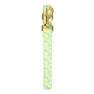 Petspaces Correa con Patrón Limas para Perro Raza Grande, 1.8 m Petspaces Correa con Patrón Limas para Perro Raza Grande, 1.8 m