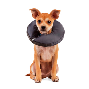Well & Good Prostyle Collar de Recuperación con Relleno Suave para Perro, XX-Chico/X-Chico