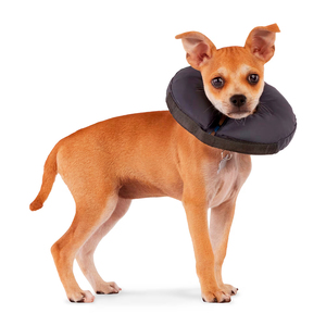Well & Good Prostyle Collar de Recuperación con Relleno Suave para Perro, XX-Chico/X-Chico